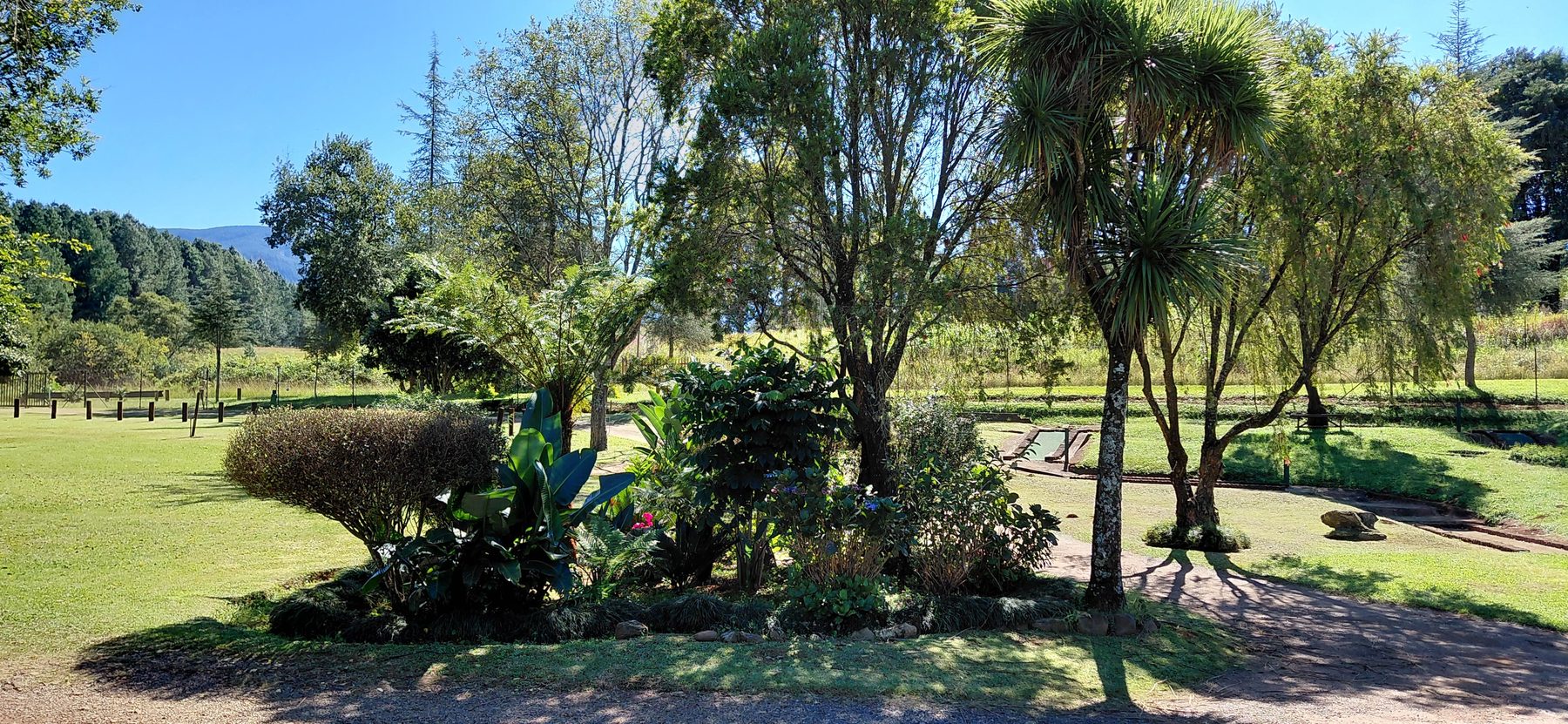 Established garden and shady lawns at Sabie River Camp